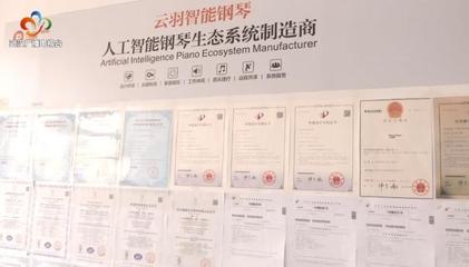 銀發創業傳奇 傾盡家產鑄琴魂，兩年破兩億的跨界逆襲