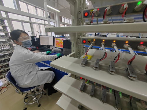 中國首創！洛陽牡丹殼變廢為寶，開啟鈉電池負極材料新紀元